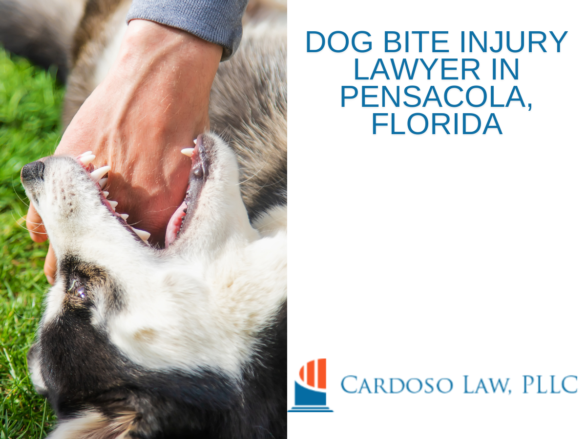 hand of a man being bitten by a dog in Pensacola. FL